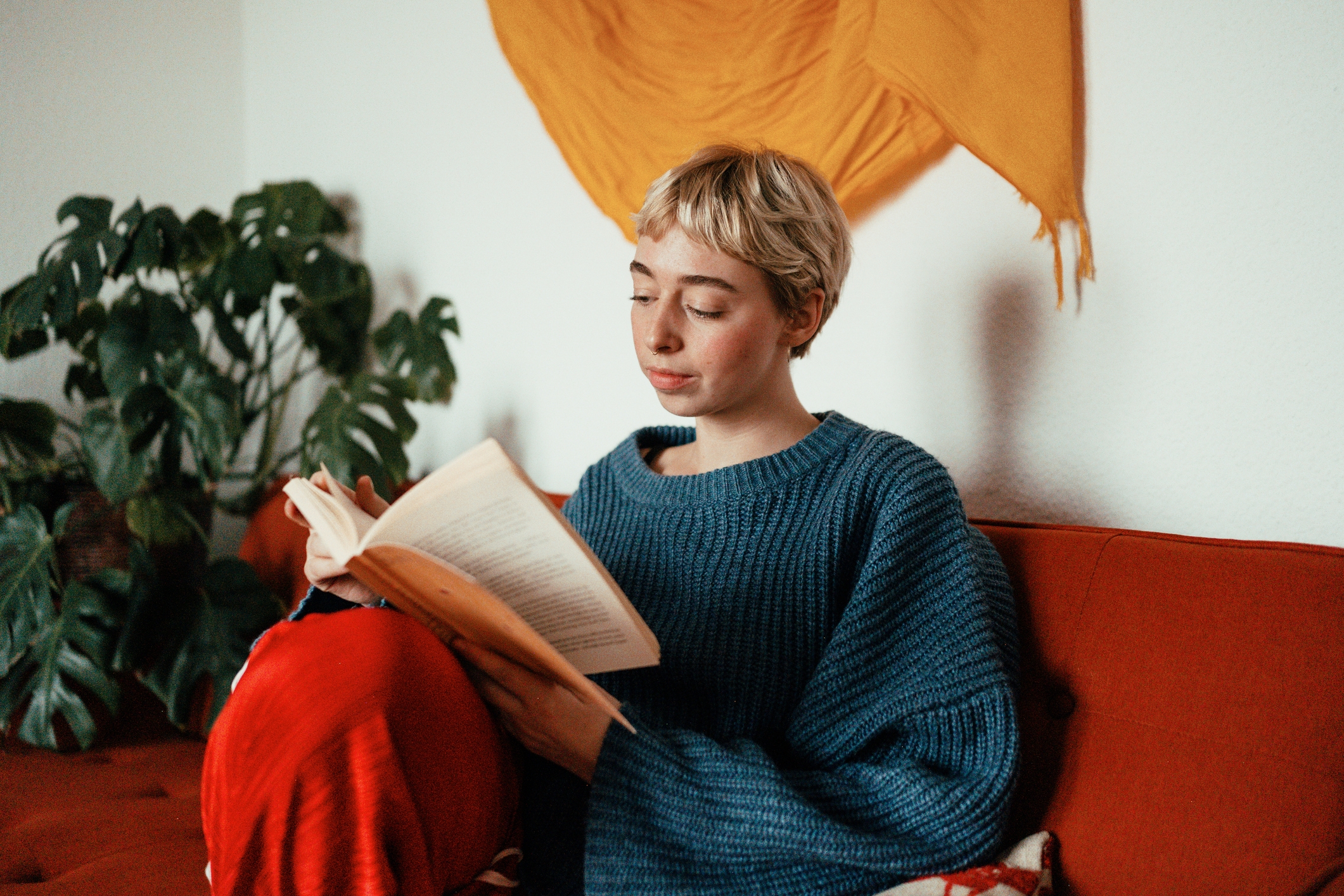 Person reading a book on a sofa, wearing a cozy knit sweater. A plant and wall decoration are in the background