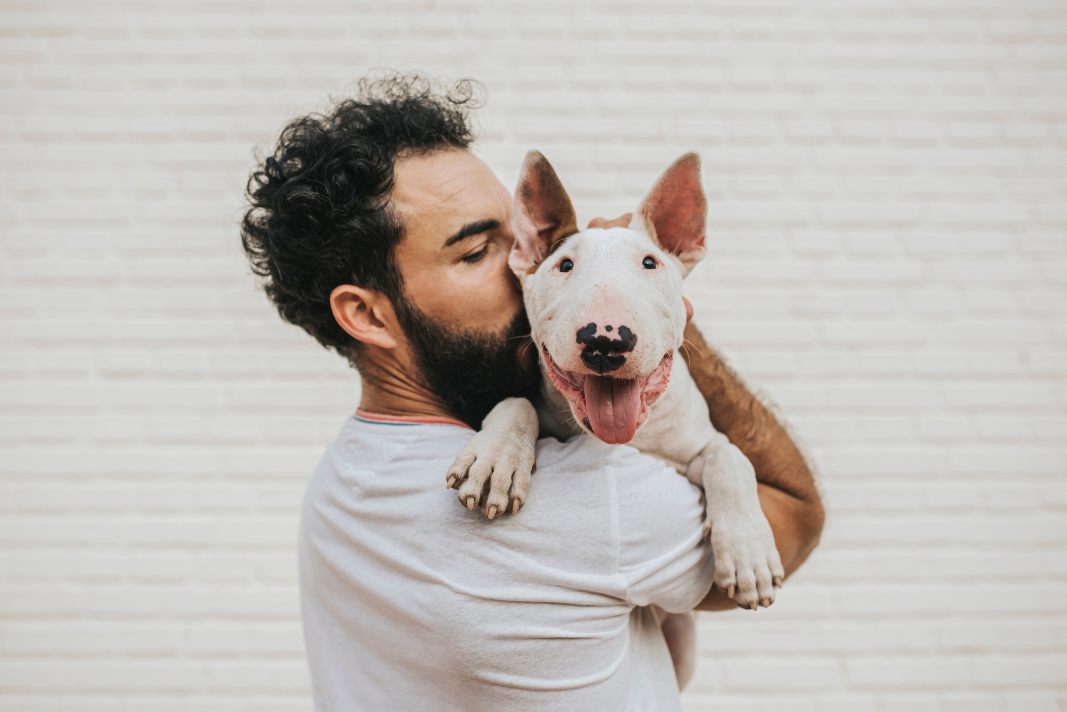 Man embracing a happy dog in his arms against a light brick wall background