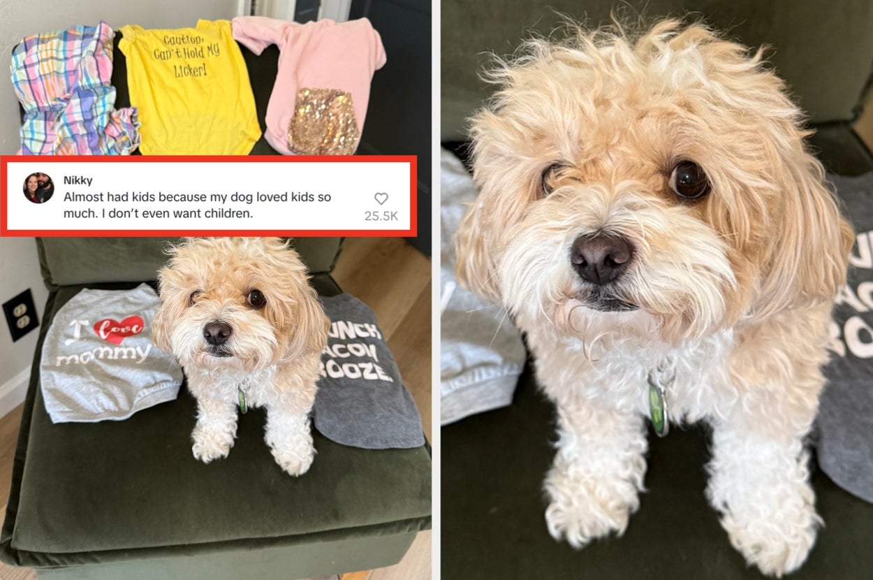 Cute dog sitting on a sofa next to folded T-shirts. A social media post reads: "Almost had kids because my dog loved kids so much. I don't even want children."