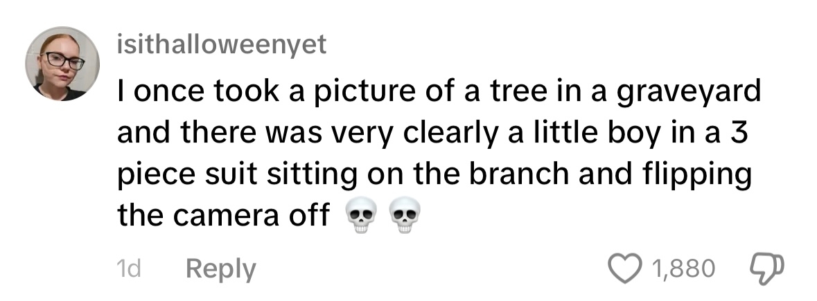 Comment about photographing a tree in a graveyard with a boy in a 3-piece suit making a rude gesture. Includes skull emojis
