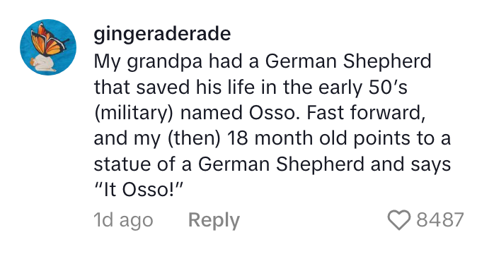 Comment about a German Shepherd named Osso who saved a life, with a child recognizing a statue resembling Osso