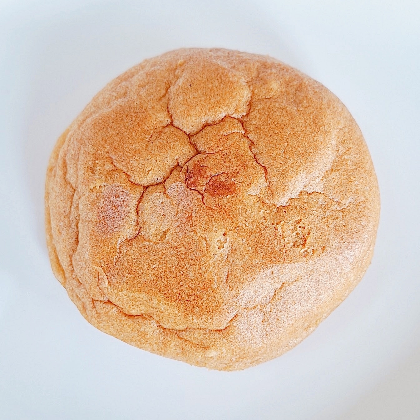 丸いシュークリームが白い皿に載っています。