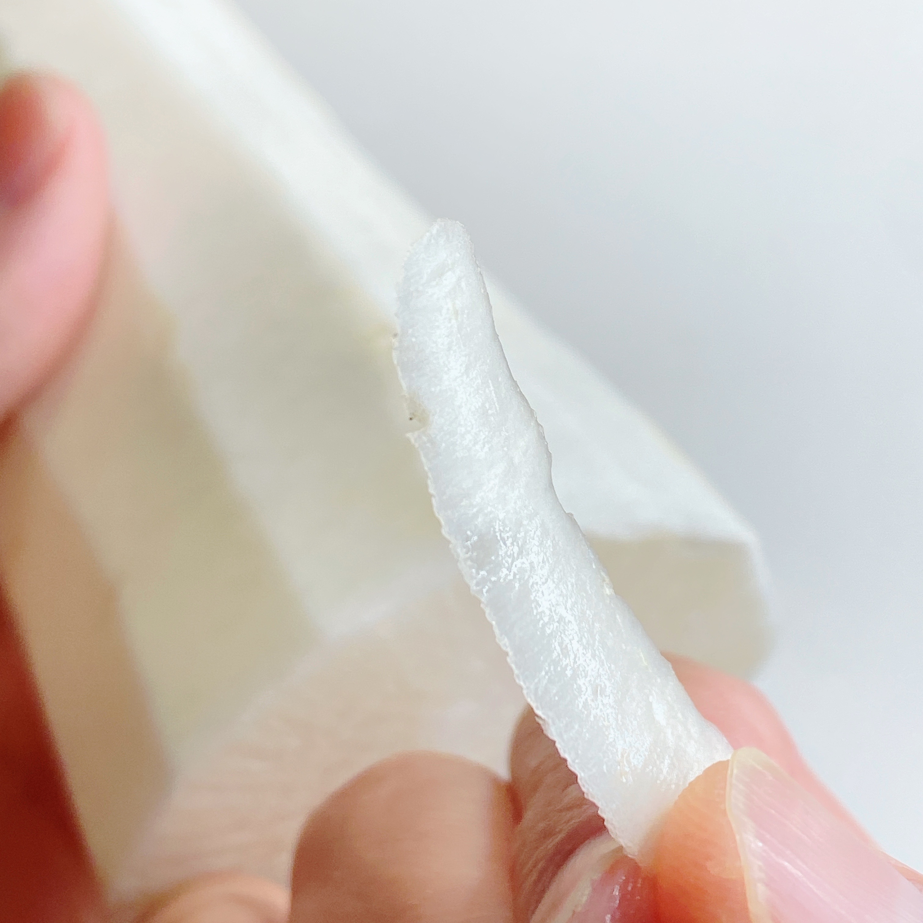 手に持たれた薄い透明なシート。