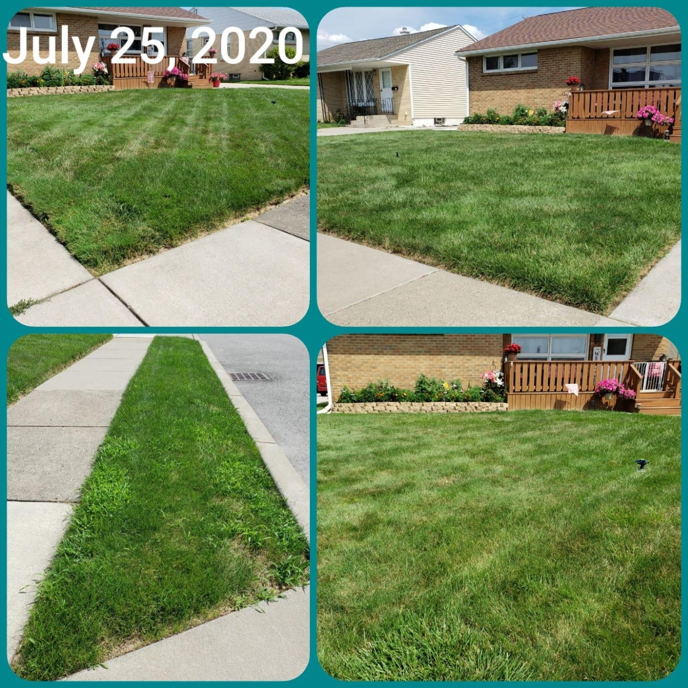 Four images of a well-maintained tract   adjacent   a house, dated July 25, 2020, showcasing lush greenish  writer  on  the sidewalk