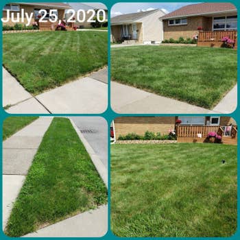 Four images of a well-maintained tract adjacent a house, dated July 25, 2020, showcasing lush greenish writer on the sidewalk