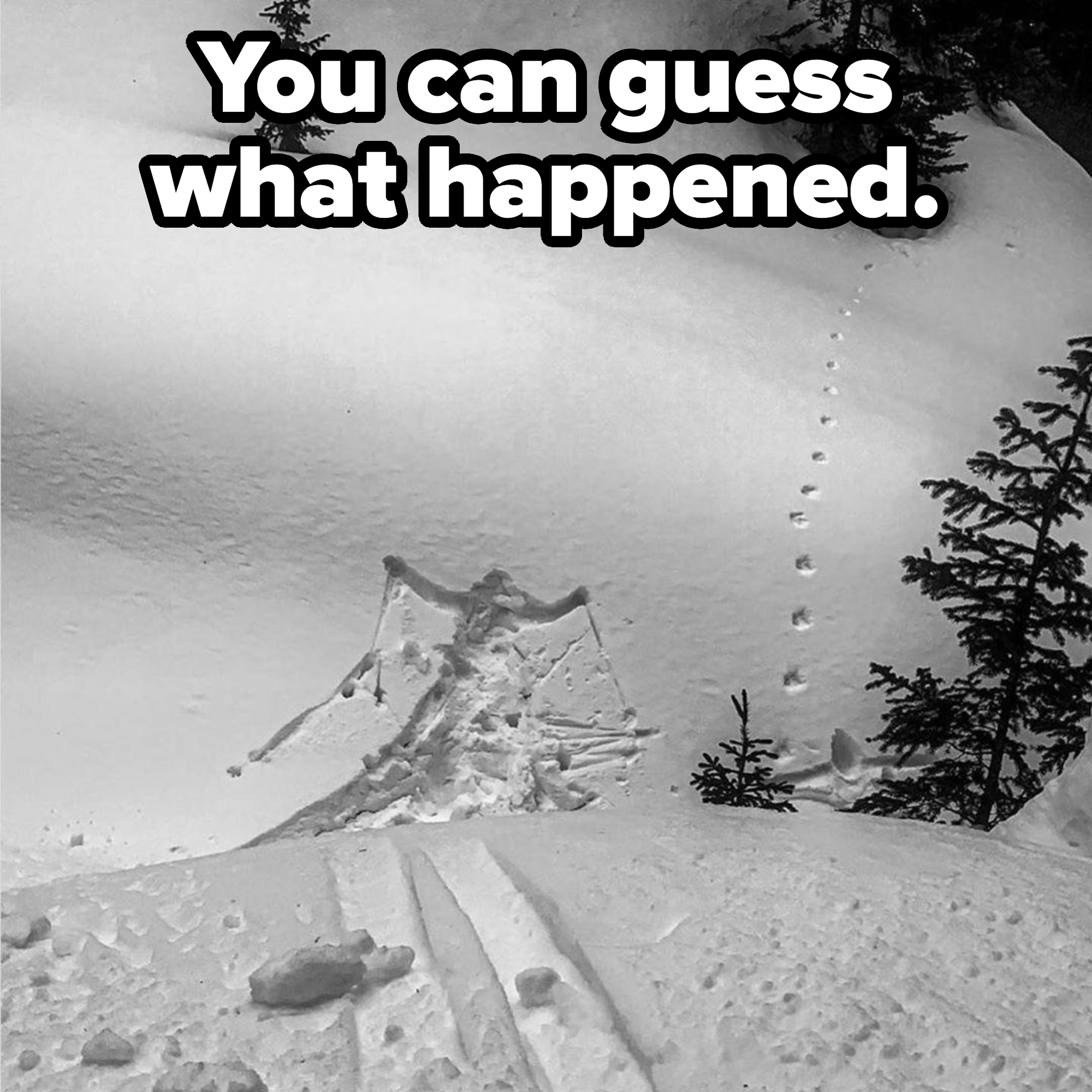 Ski tracks curve into snow leading to a snow angel, flanked by trees, with animal tracks continuing ahead