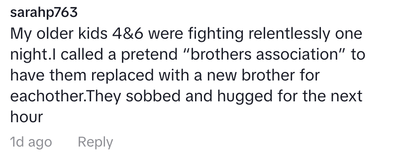 Text from a social media post where a parent humorously pretends to call a "brothers association" to resolve kids' fighting, resulting in hugs