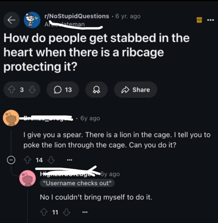 A Reddit post asks about ribcage protection. A reply describes a scenario involving a spear and a lion in a cage