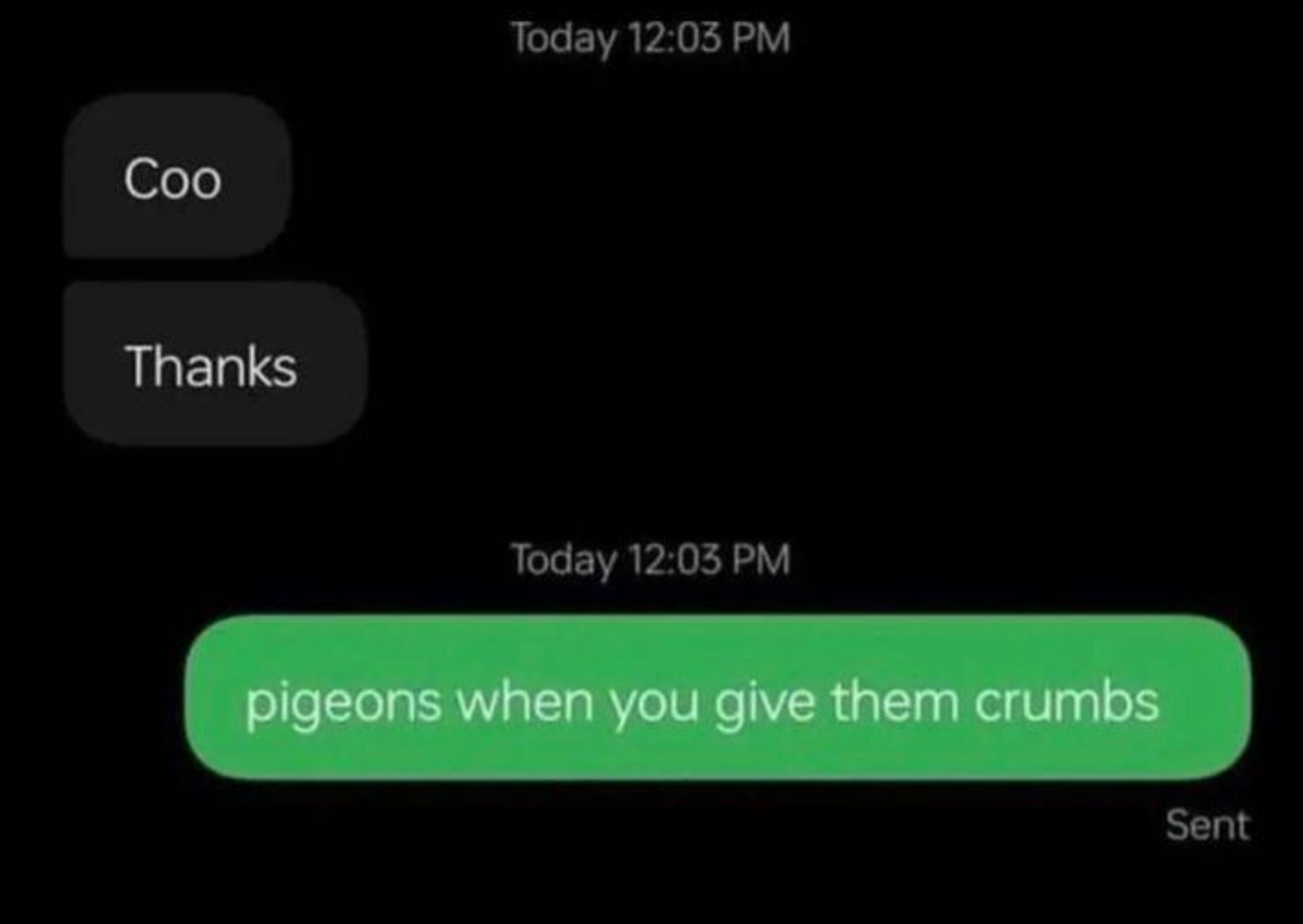 Chat conversation joke; starts with "Coo" and "Thanks," followed by "pigeons when you give them crumbs" as a humorous caption