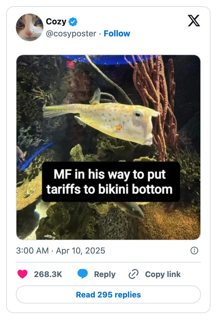 A pufferfish in an aquarium with text overlay: "MF in his way to put tariffs to bikini bottom."