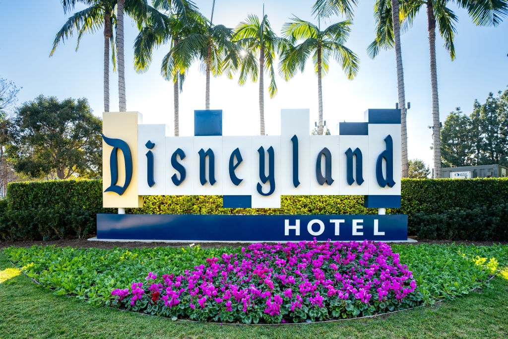 Disneyland Hotel entrance sign with lush greenery and vibrant flowers around it. Tall palm trees stand in the background