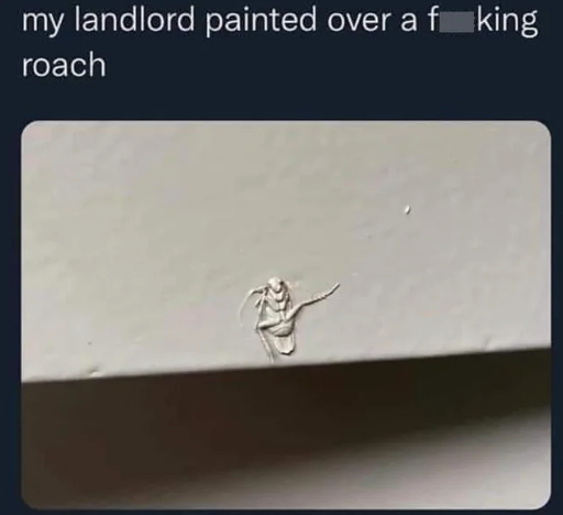 Painted-over roach stuck on a wall beneath text humorously noting a landlord's actions