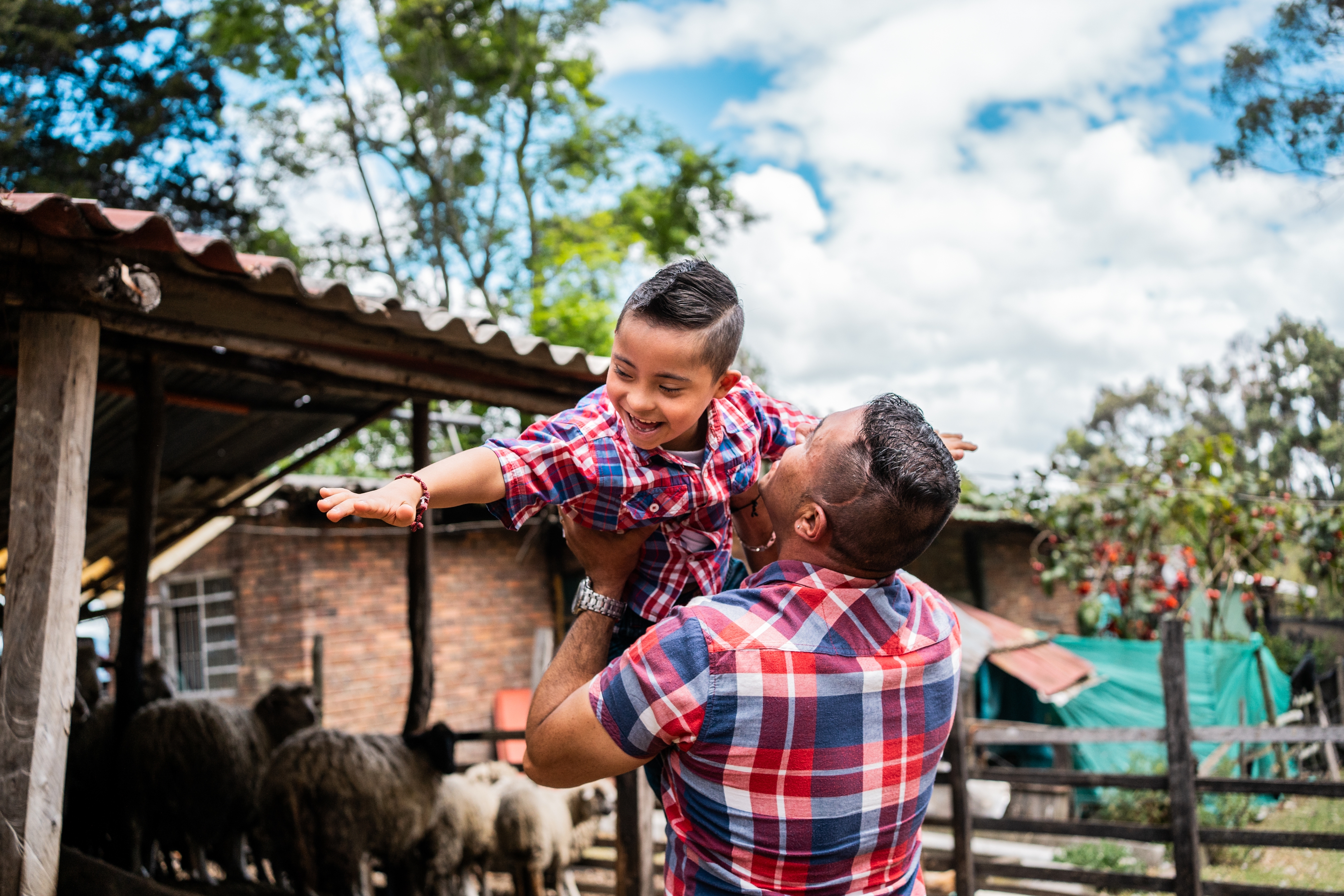 A father joyfully lifts his laughing son in a plaid shirt, mimicking an airplane, surrounded by a rustic farmyard with sheep in the background