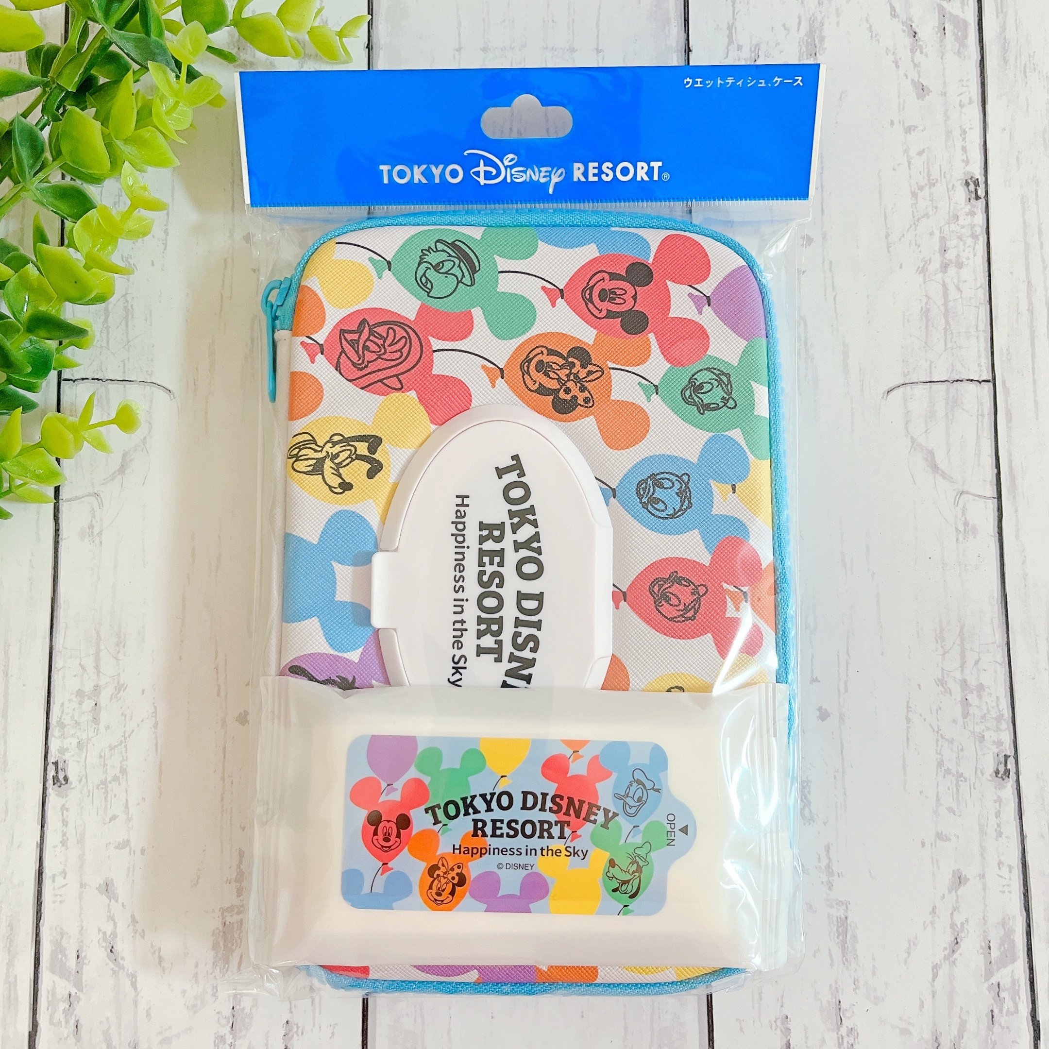 ディズニーショーケース 和服姿のムーラン　箱付き ウェットティッシュ用ポケット付きマルチケース（選べるキャラクター