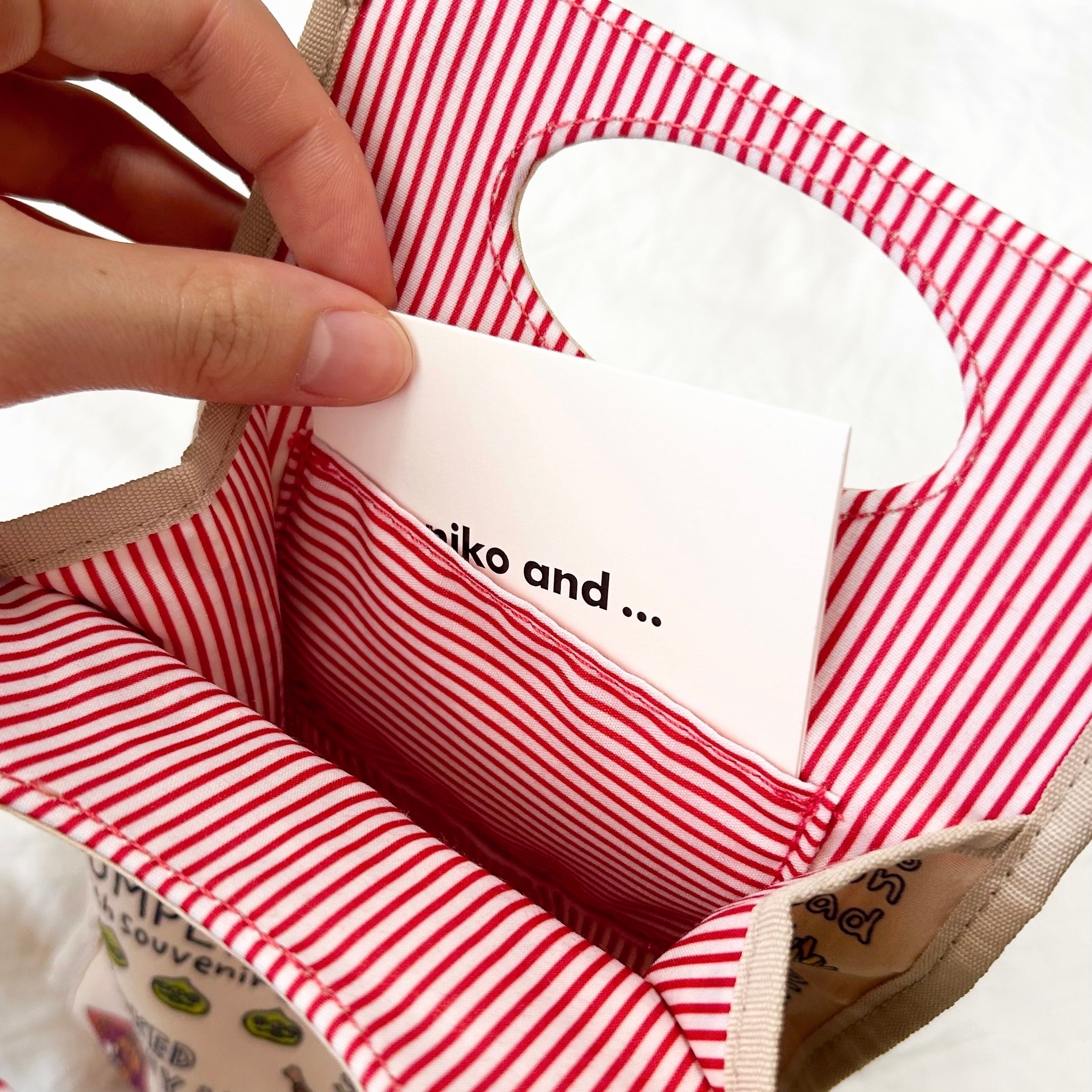 ディズニーランドの「ペンケース 東京ディズニーリゾート」