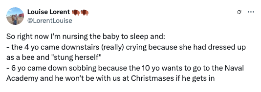 Tweet about parenting challenges: a child upset over dressing as a bee, and another worried about a sibling possibly attending the Naval Academy