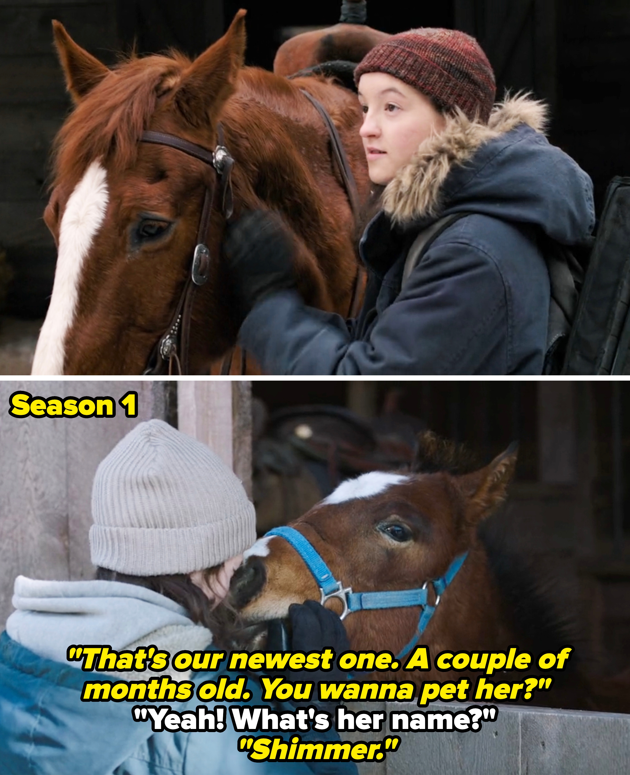 Ellie with Shimmer in Season 2 vs. Ellie meeting Shimmer for the first time and asking what her name is in Season 1