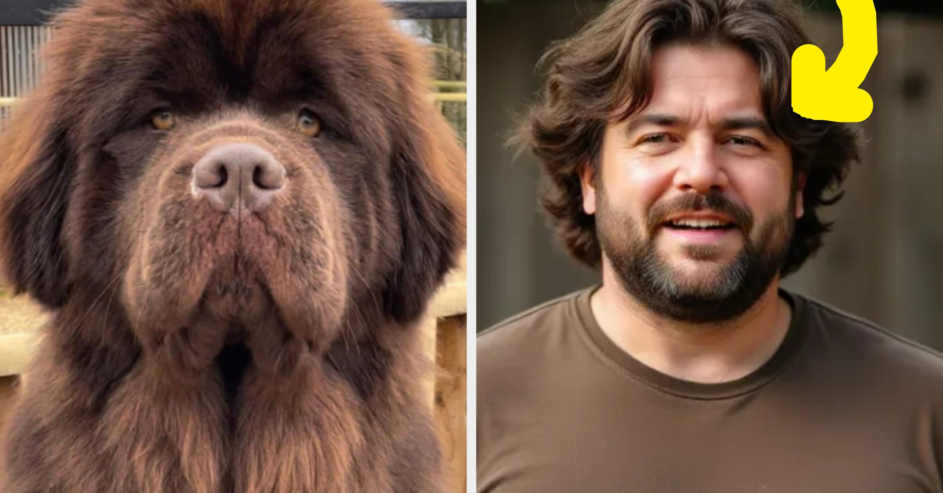 People Are Turning Their Pets Into Humans With This AI Generator, And It's So Freaking Wild
