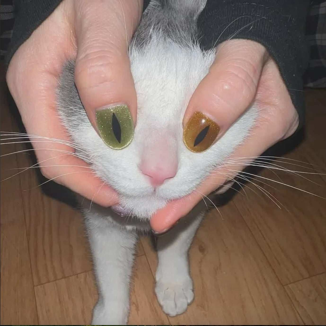 Person playfully holding a cat's face, using fingernail designs to mimic cat eyes