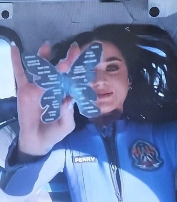 Person in a blue space-themed suit holds up a large butterfly-shaped object