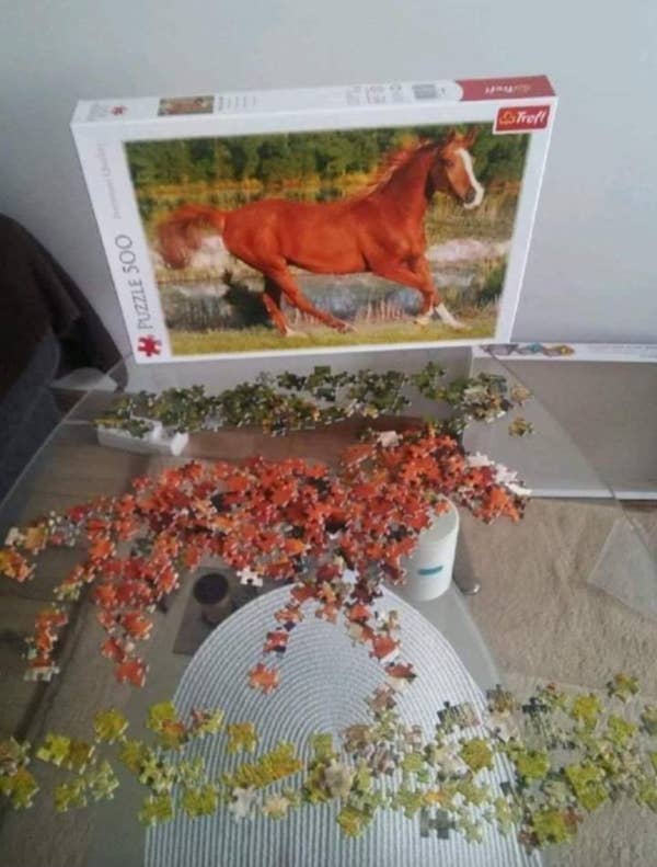 Puzzle pieces laid out on a table, with the puzzle box showing an image of a running horse