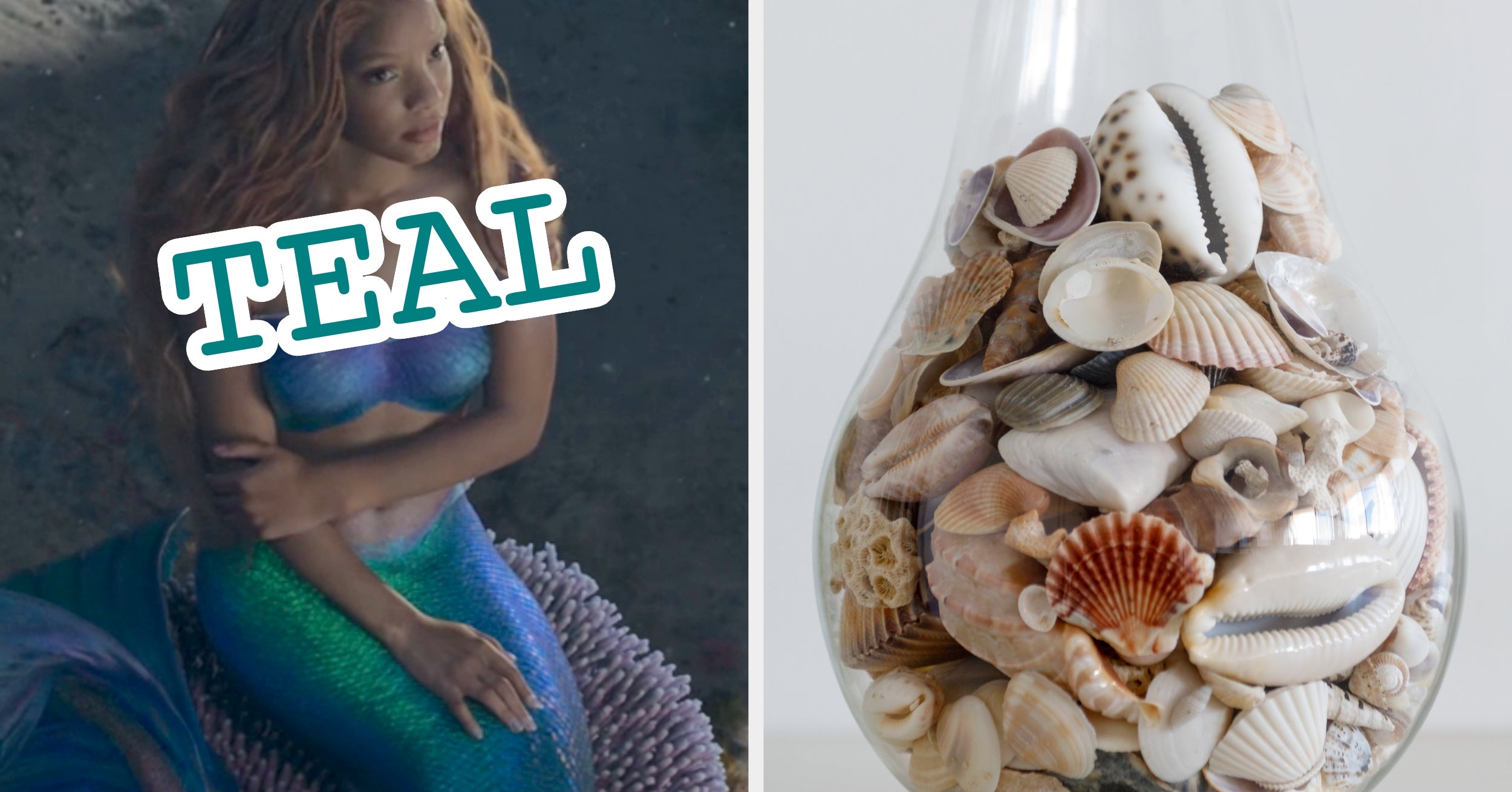 Mermaid Tail Color Quiz