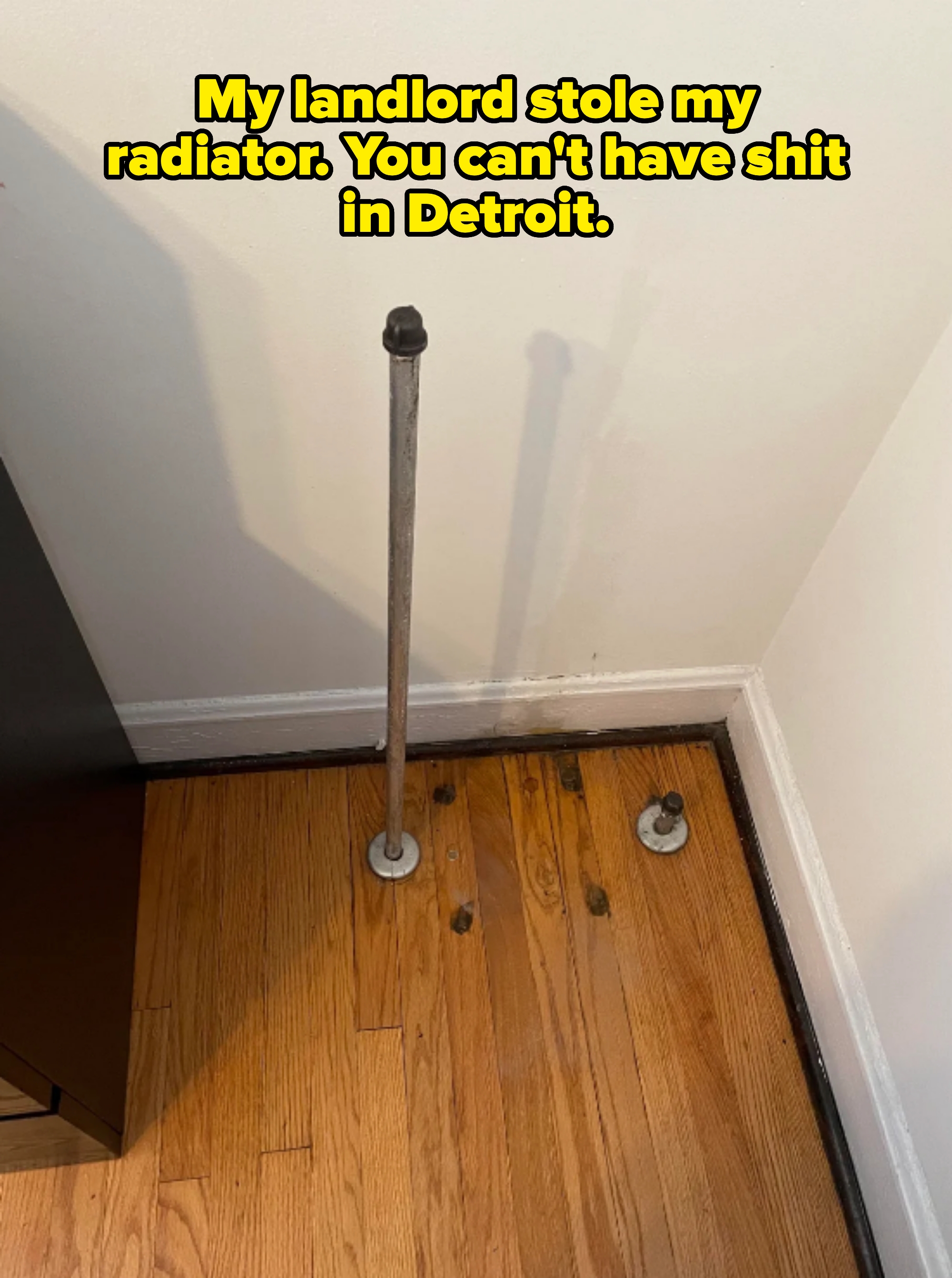 Metal pipe and floor fittings are installed on hardwood flooring. Caption: "My landlord stole my radiator. You can't have shit in Detroit"