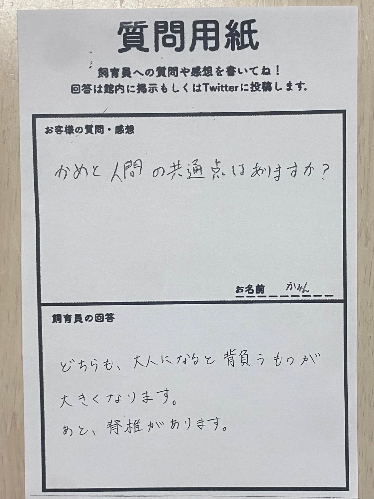 「かめと人間の共通点はありますか?」 / 道の駅ウミガメ公園の公式Xアカウントより