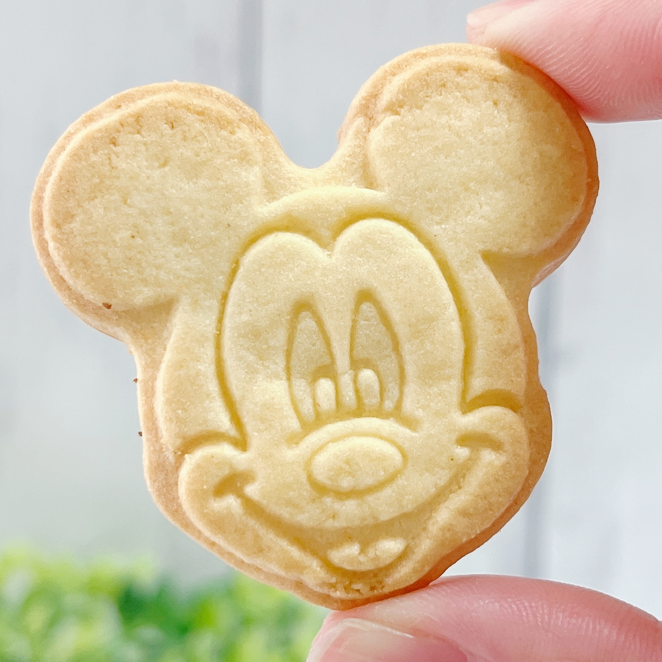 ディズニーランドで見つけた「レトロクッキー缶」が買って大正解