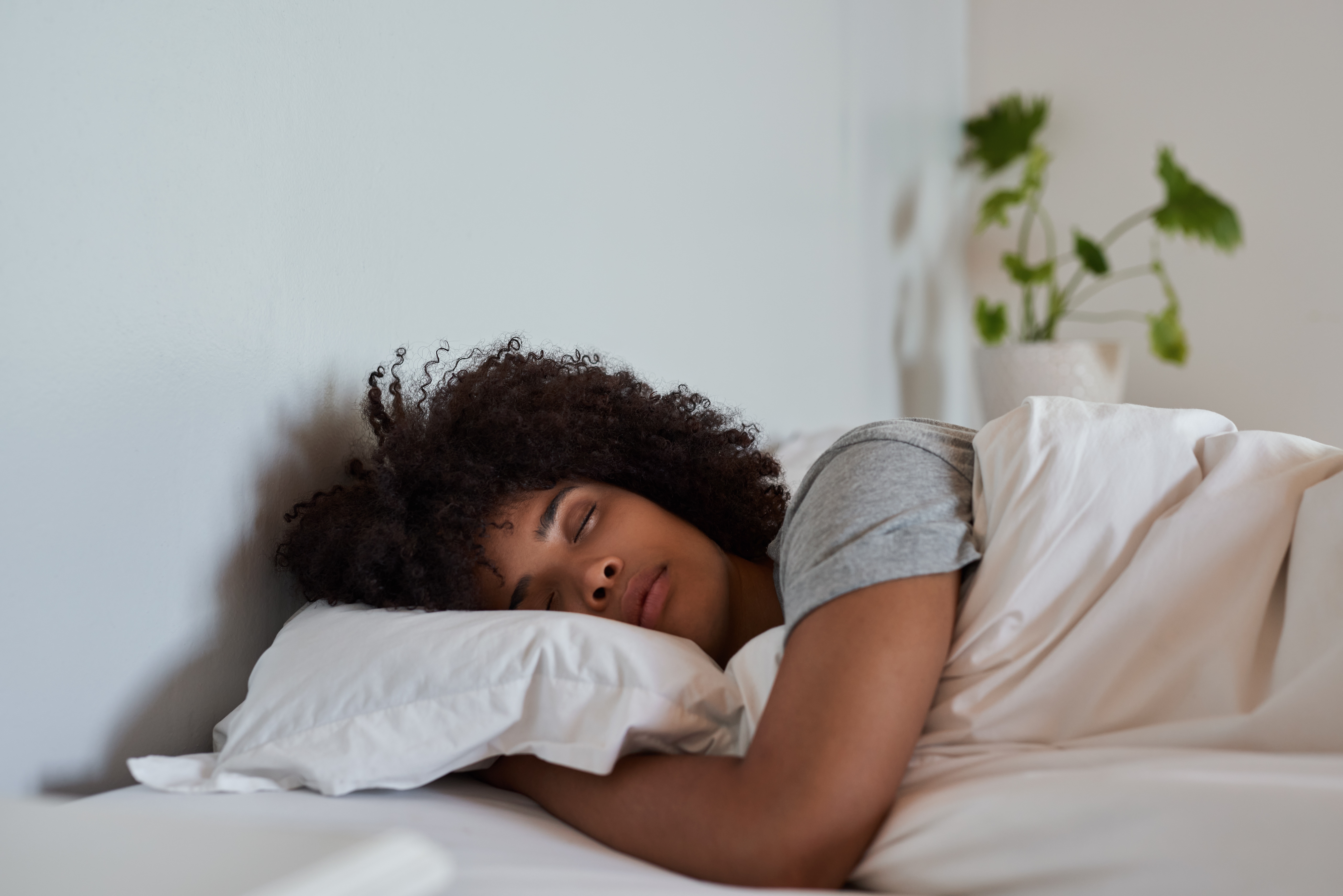 Person sleeping peacefully in bed with a plant in the background