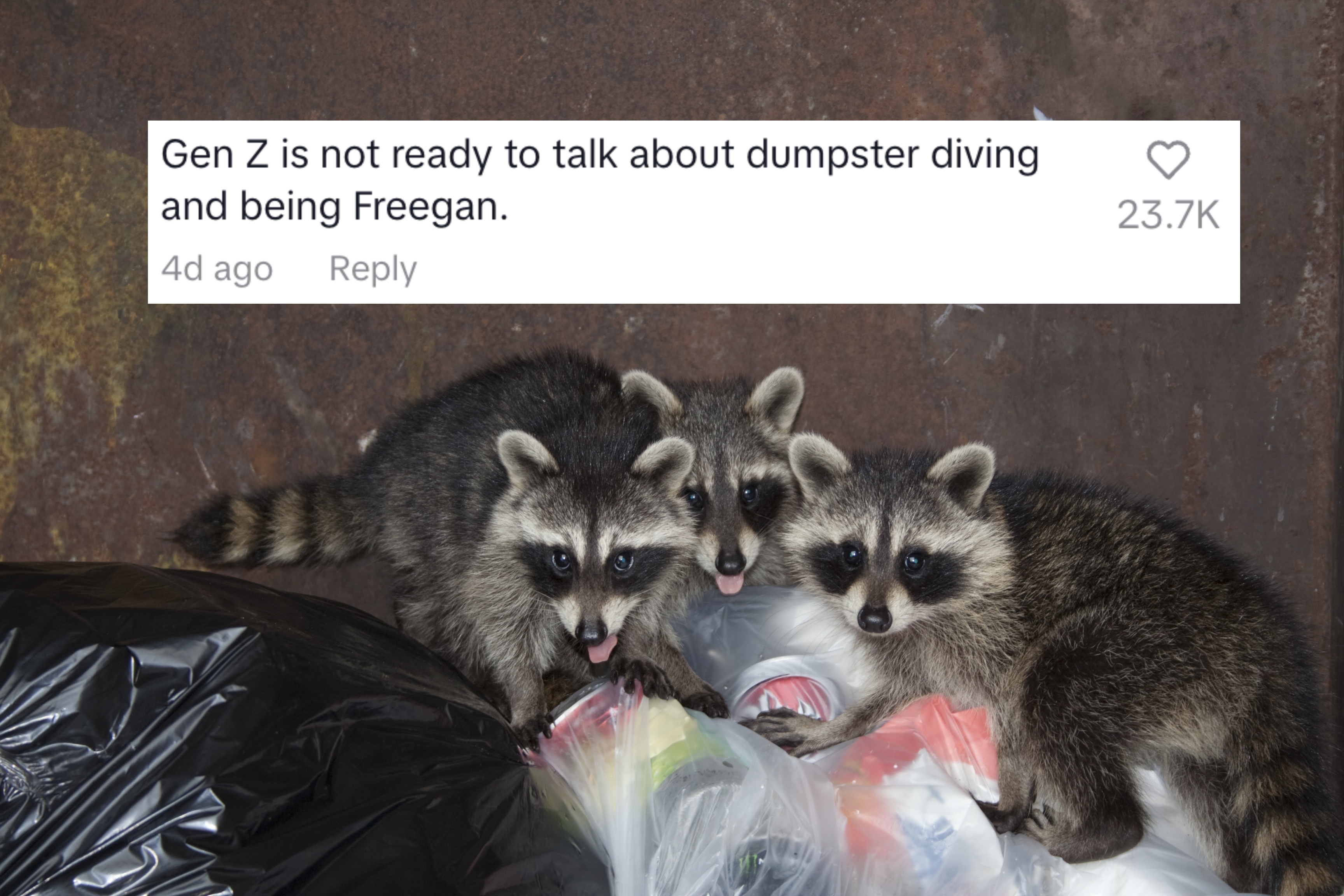 Gen Z is not ready to talk about dumpster diving and being freegan