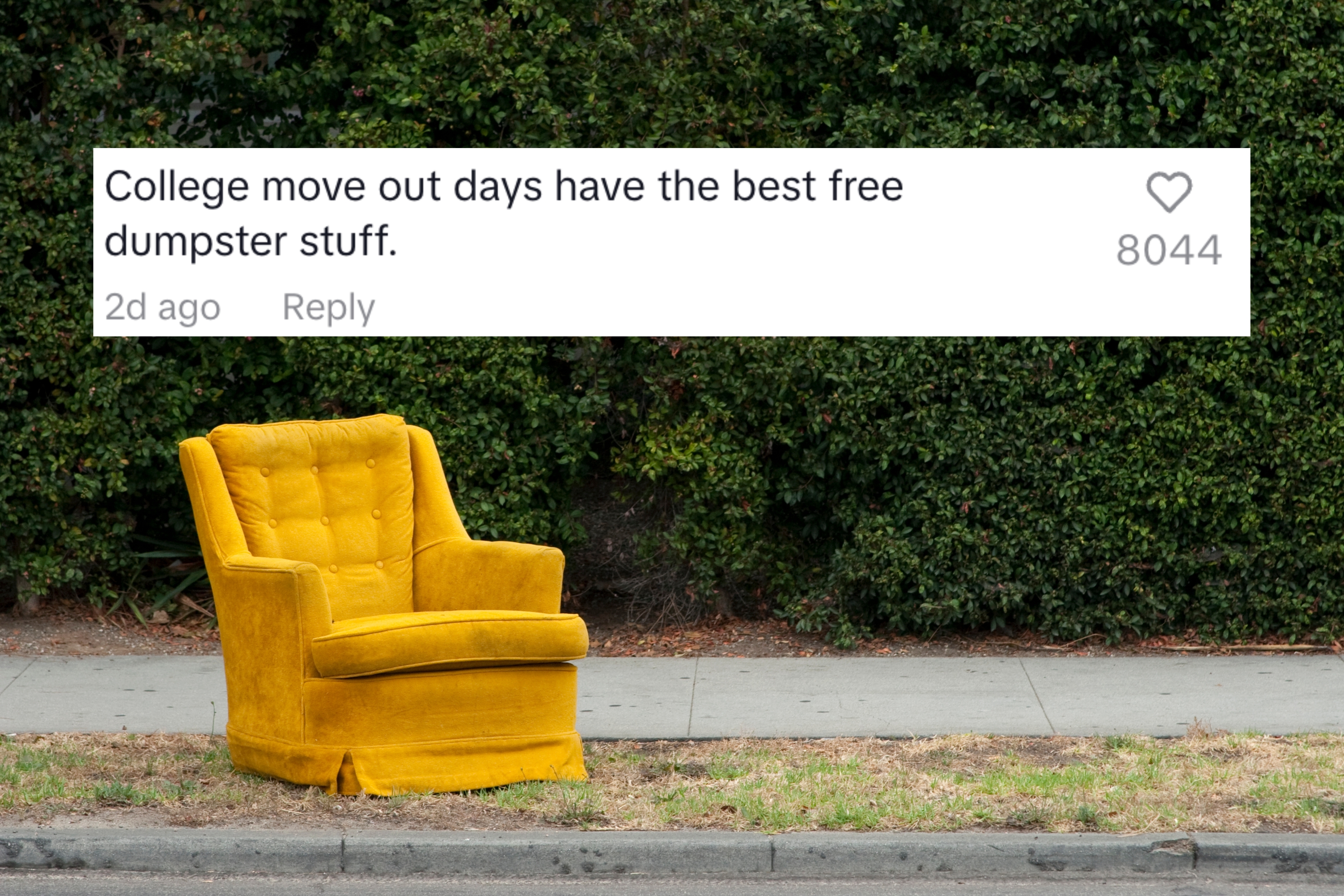 College move out days have the best free dumpster stuff