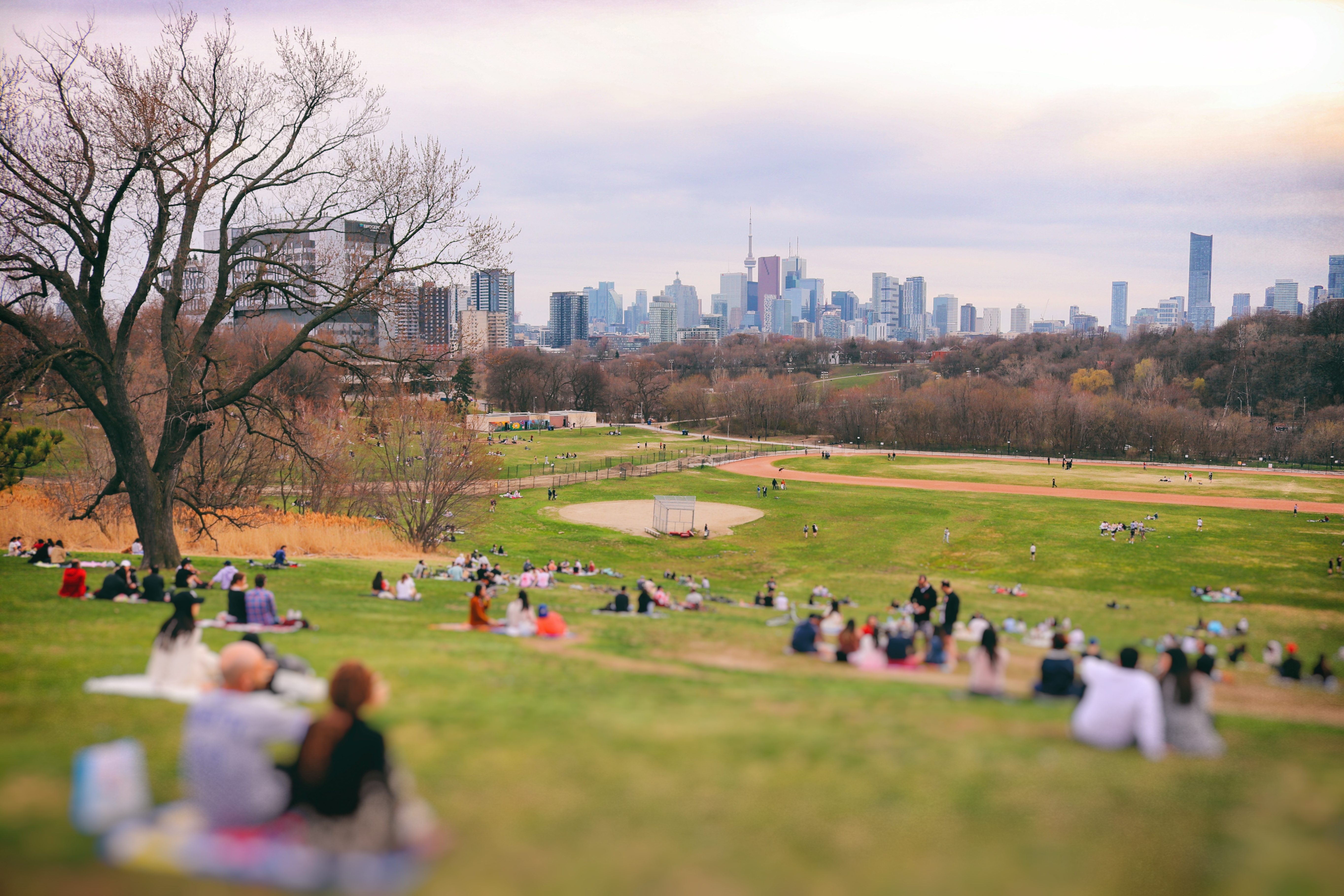 People relaxing on a grassy hill overlooking a city skyline with tall buildings, enjoying a peaceful day outdoors
