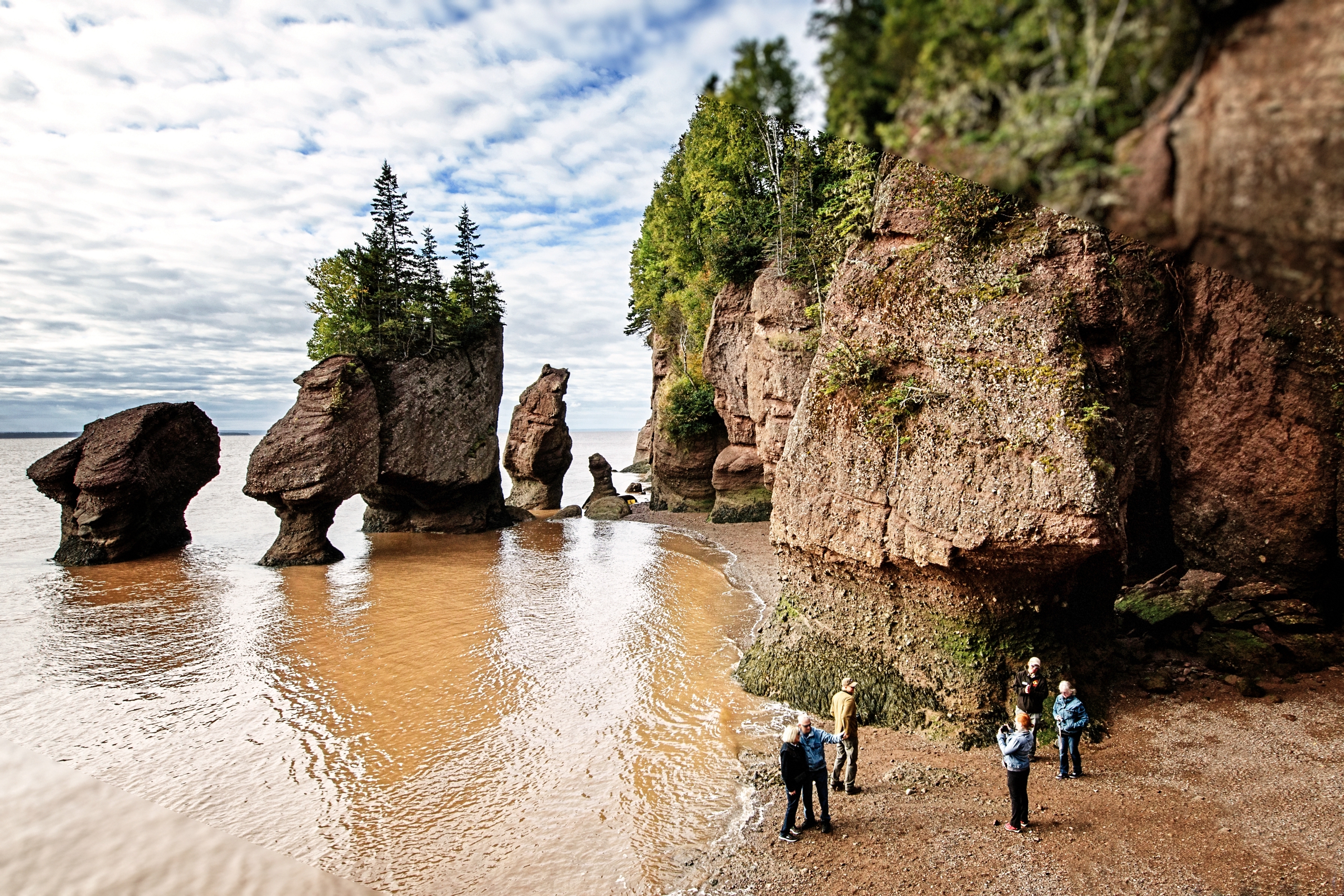People explore rock formations and cliffs on a beach with trees on top, under a cloudy sky