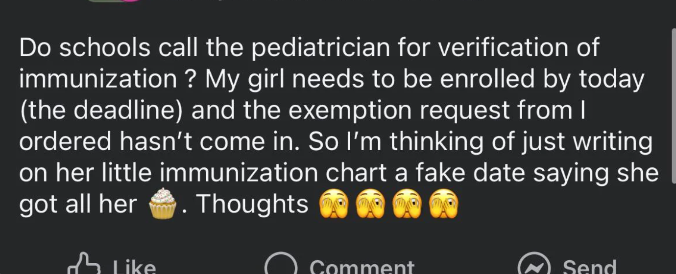Post questioning school immunization verification, suggesting writing a fake date on daughter's chart due to missing exemption request