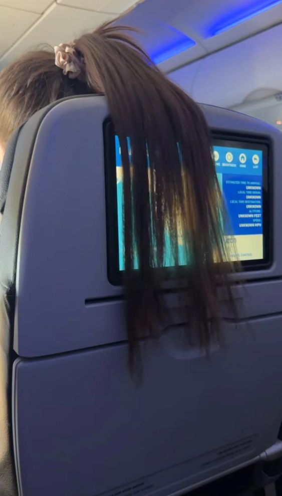 Airplane seatback with a passenger's long hair draped over the screen, obstructing the view. Reddit post about the incident