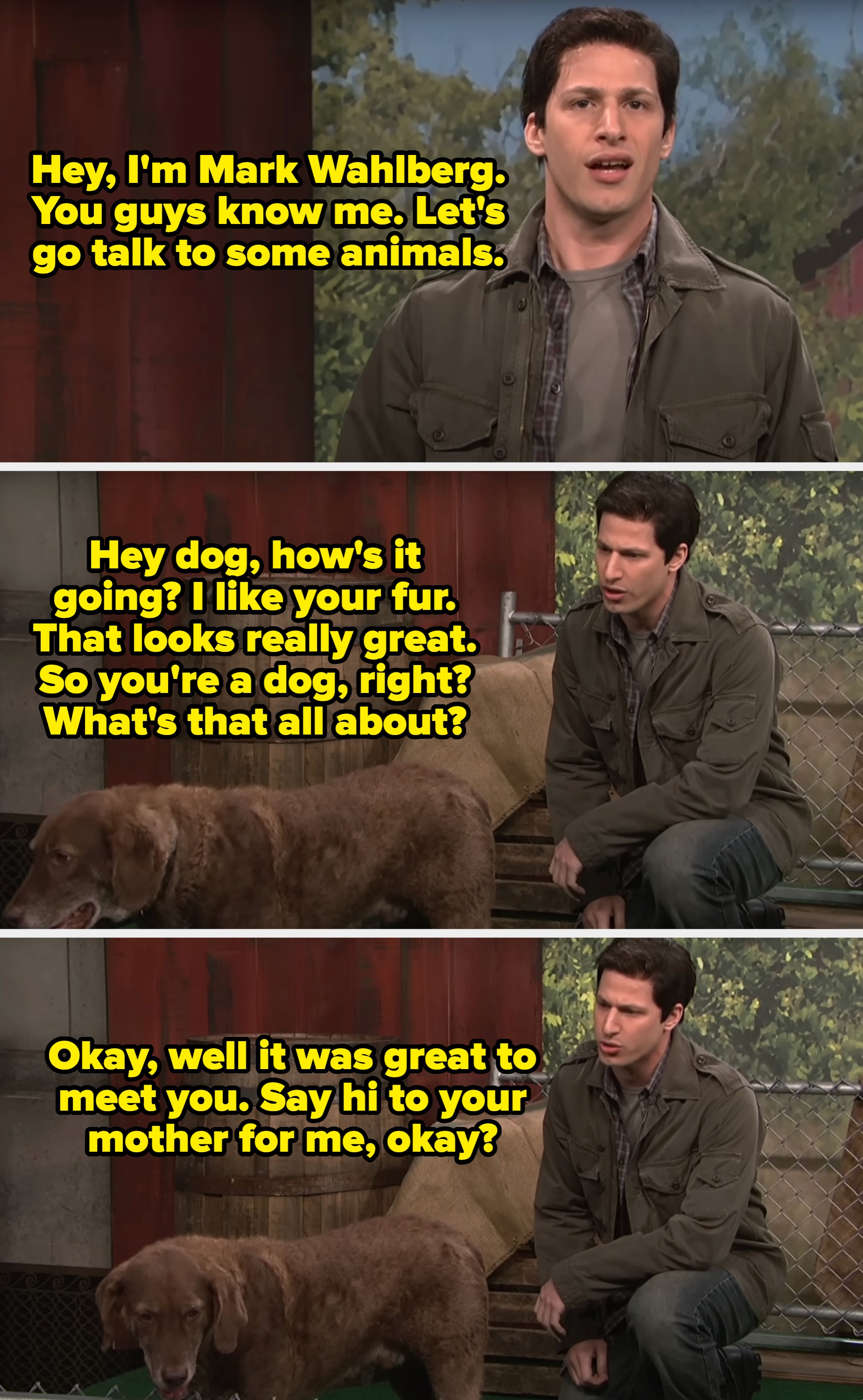 Andy talks to a dog, asking what it's like to be a dog. He says it was greet to meet and tells the dog to say hi to its mother