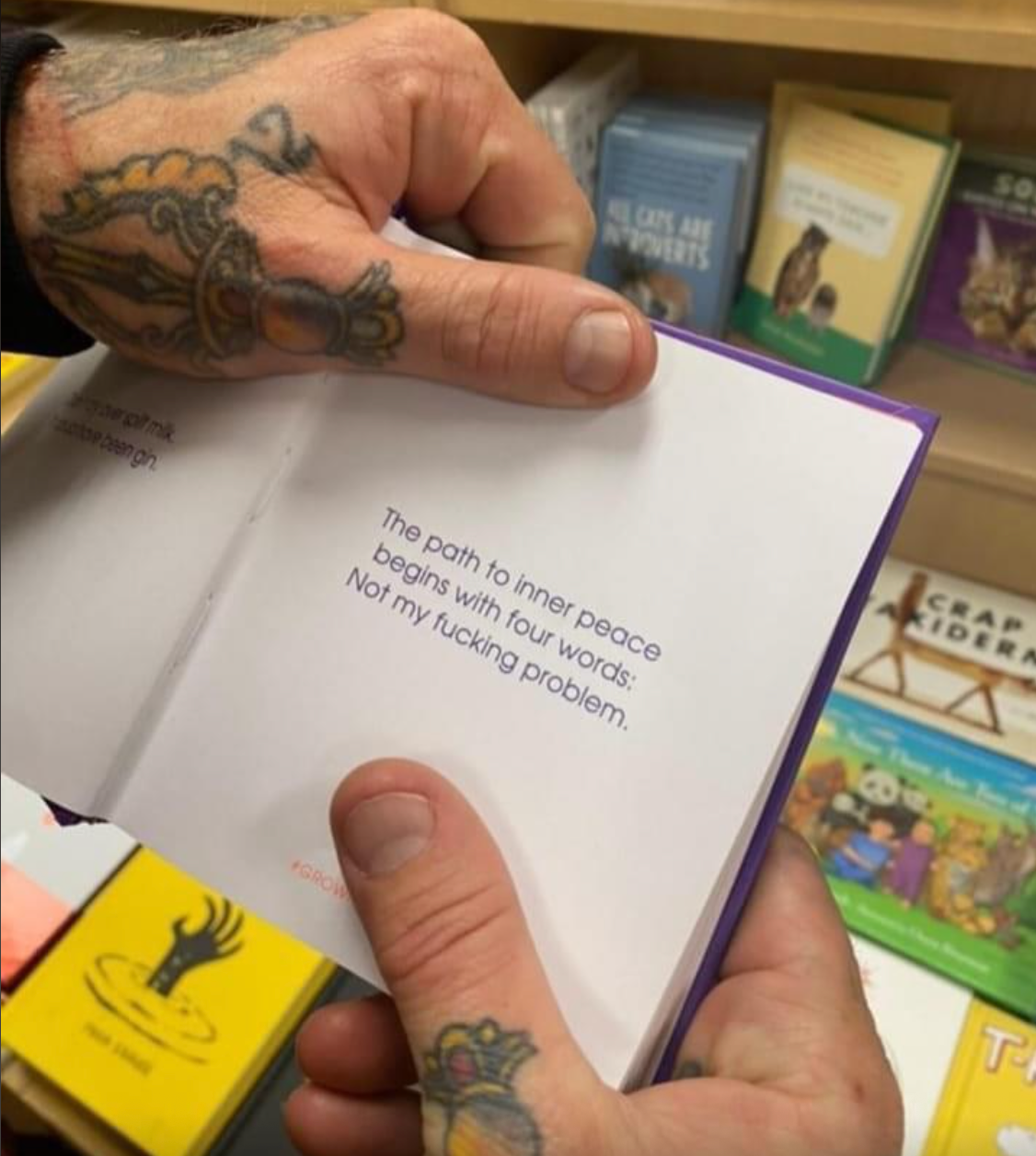 Person holding a book with a page reading, "The path to inner peace begins with four words: Not my fucking problem." Shelves with books in the background