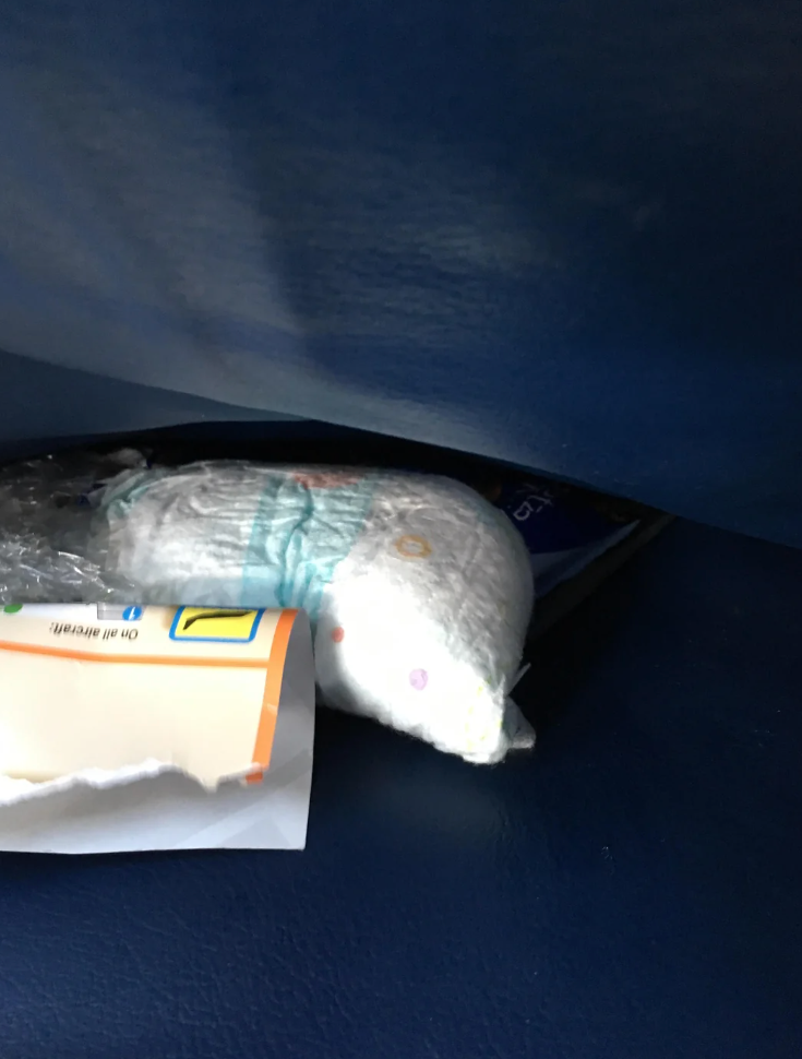 Airplane seat pocket with a diaper and items inside. Reddit page shown, user comment visible: "Whoever left this diaper on the back of my airplane seat pocket is a major dick."