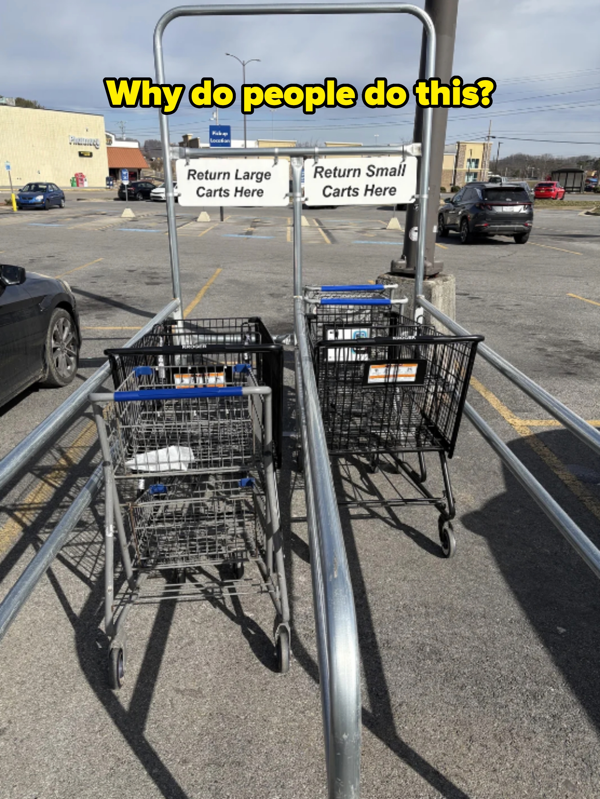 Shopping carts neatly placed in a parking lot cart return, separated into sections for large and small carts, with visible store in background