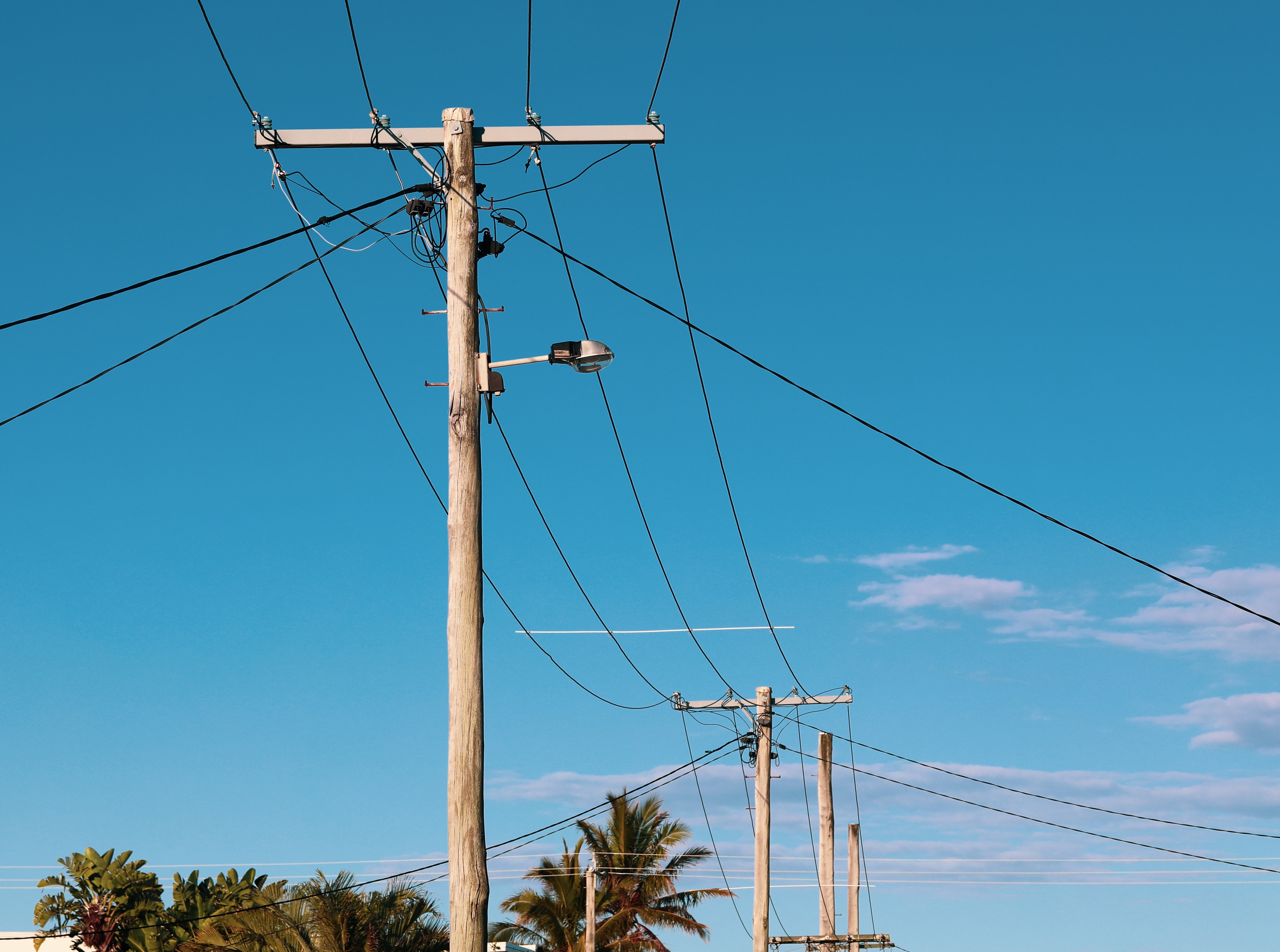 Utility poles with power lines stretching across a clear sky, with palm trees visible in the background