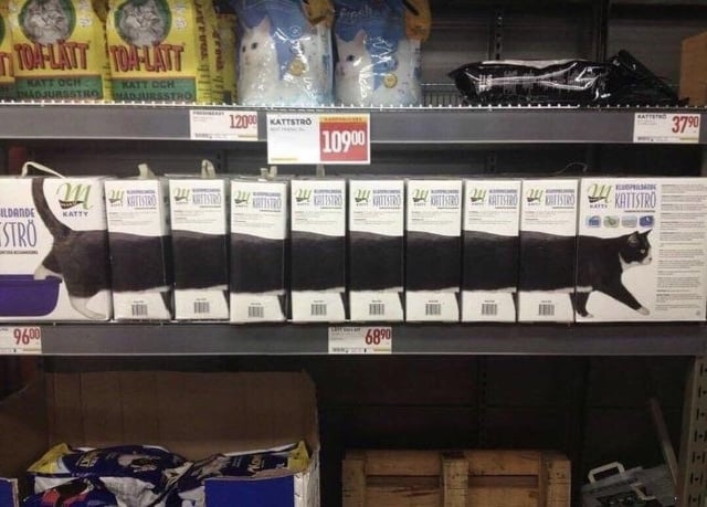 Cat litter boxes on a shelf show a continuous image of a black-and-white cat walking across them, creating a visual illusion