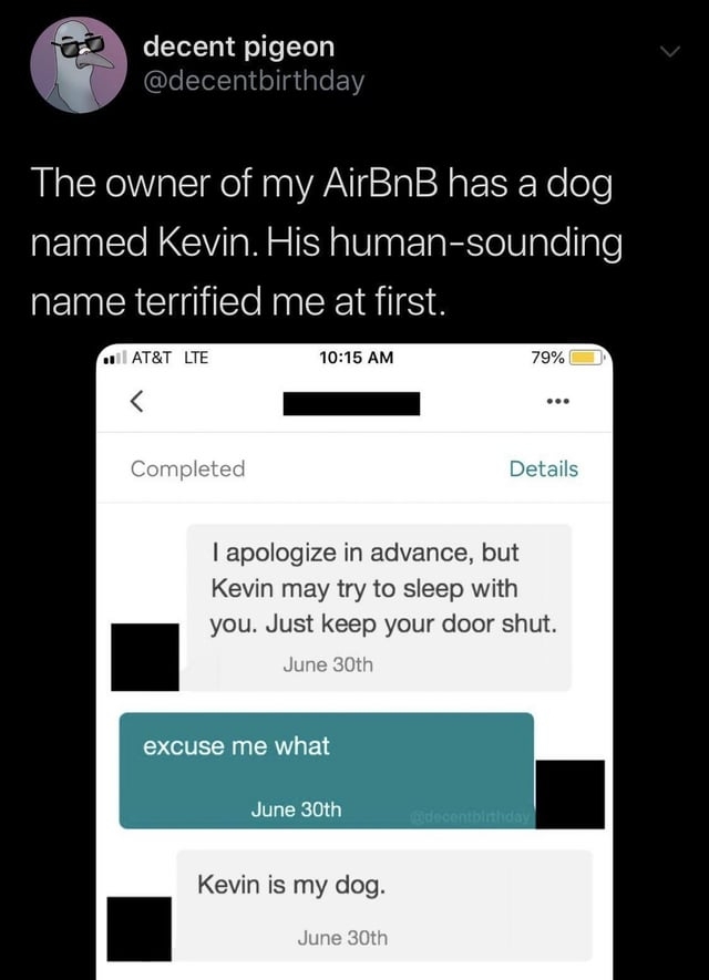 Screenshot of a tweet and a message exchange about a dog named Kevin, humorously highlighting the dog's human-sounding name