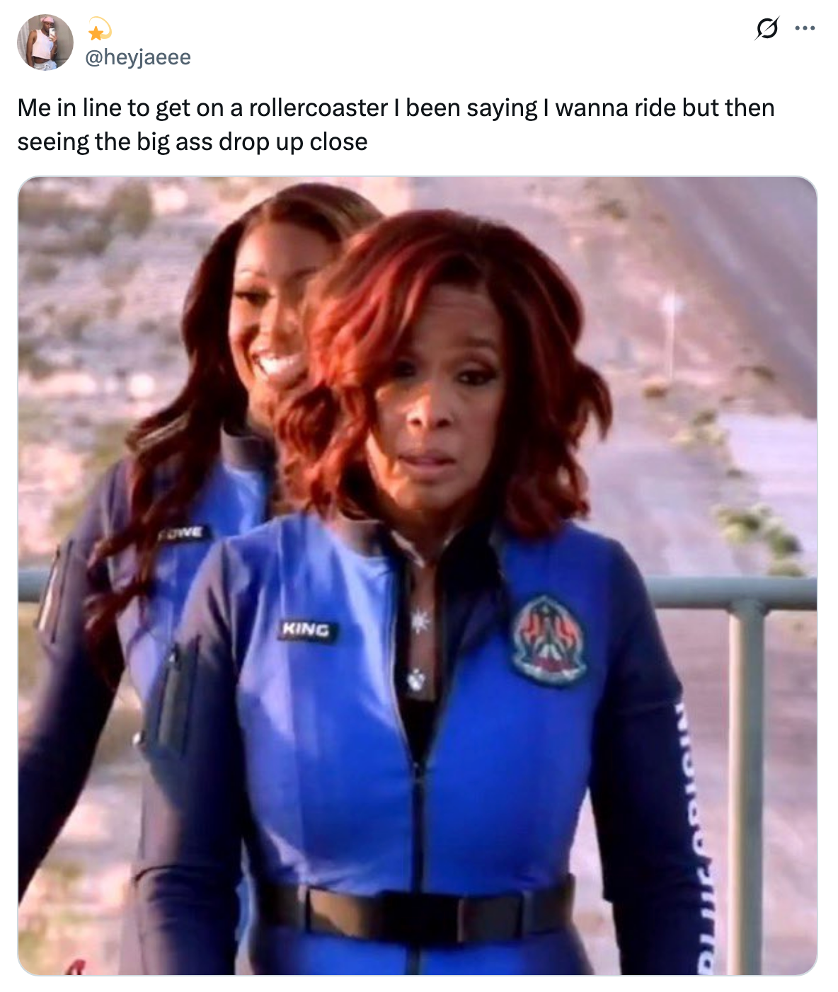 Two people in blue jumpsuits look surprised and anxious, captioned with a humorous remark about roller coaster fear