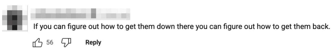 Comment reads: "If you can figure out how to get them down there you can figure out how to get them back."