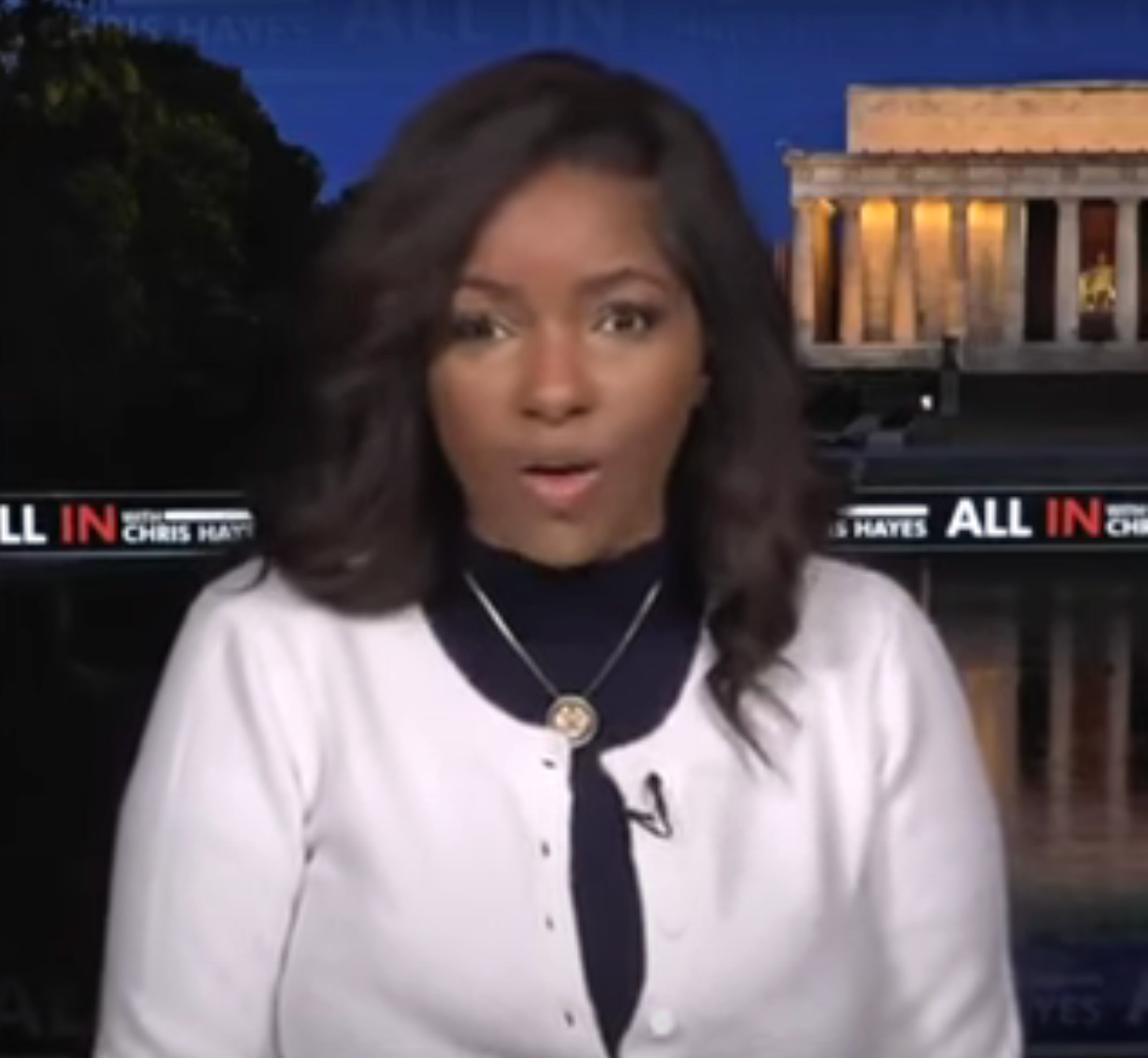Person speaking on a news show with the Lincoln Memorial in the background