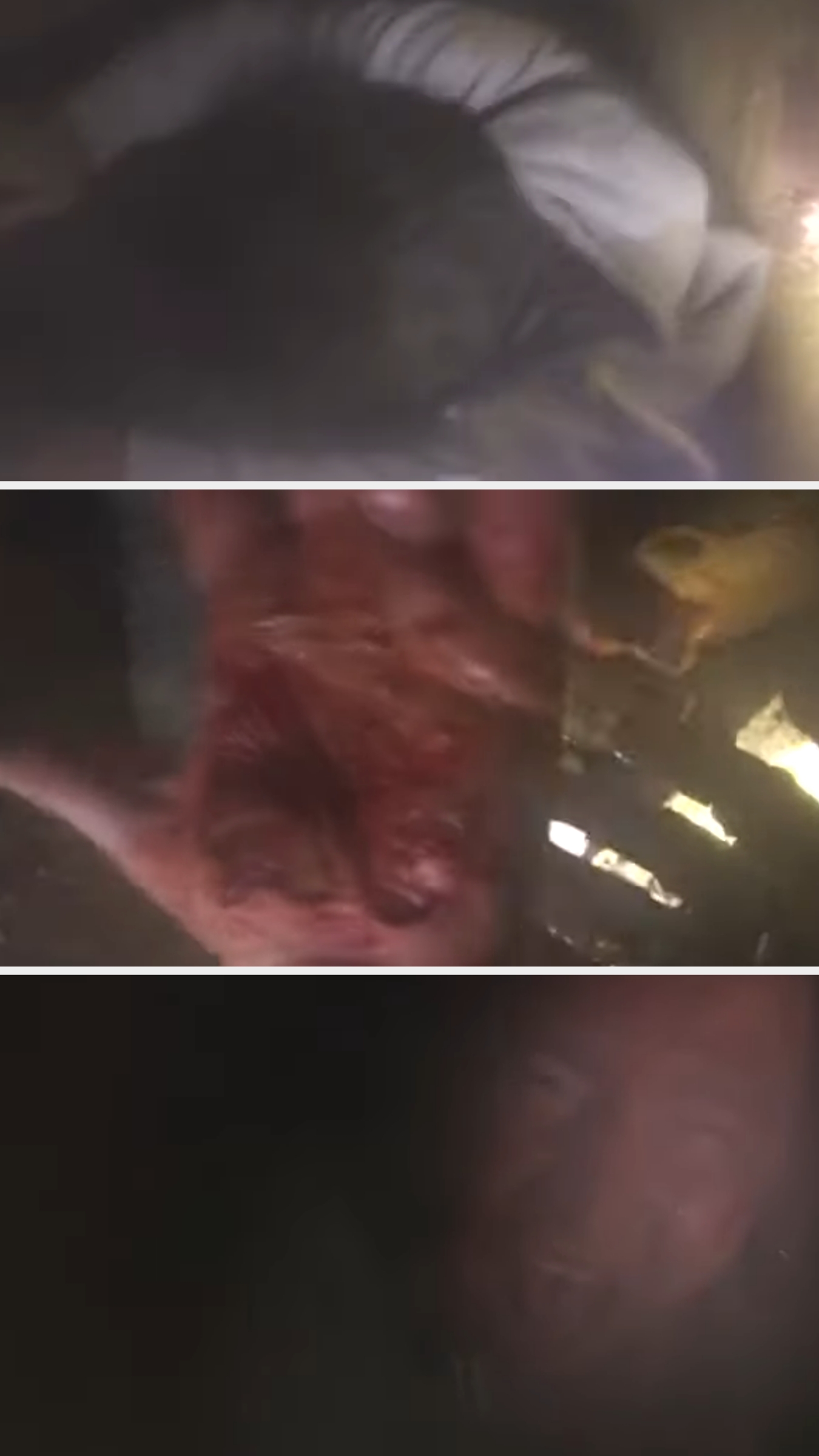 Blurred, low-light images showing unclear figures and details, including a person and a hand with something unidentifiable. Difficult to ascertain context