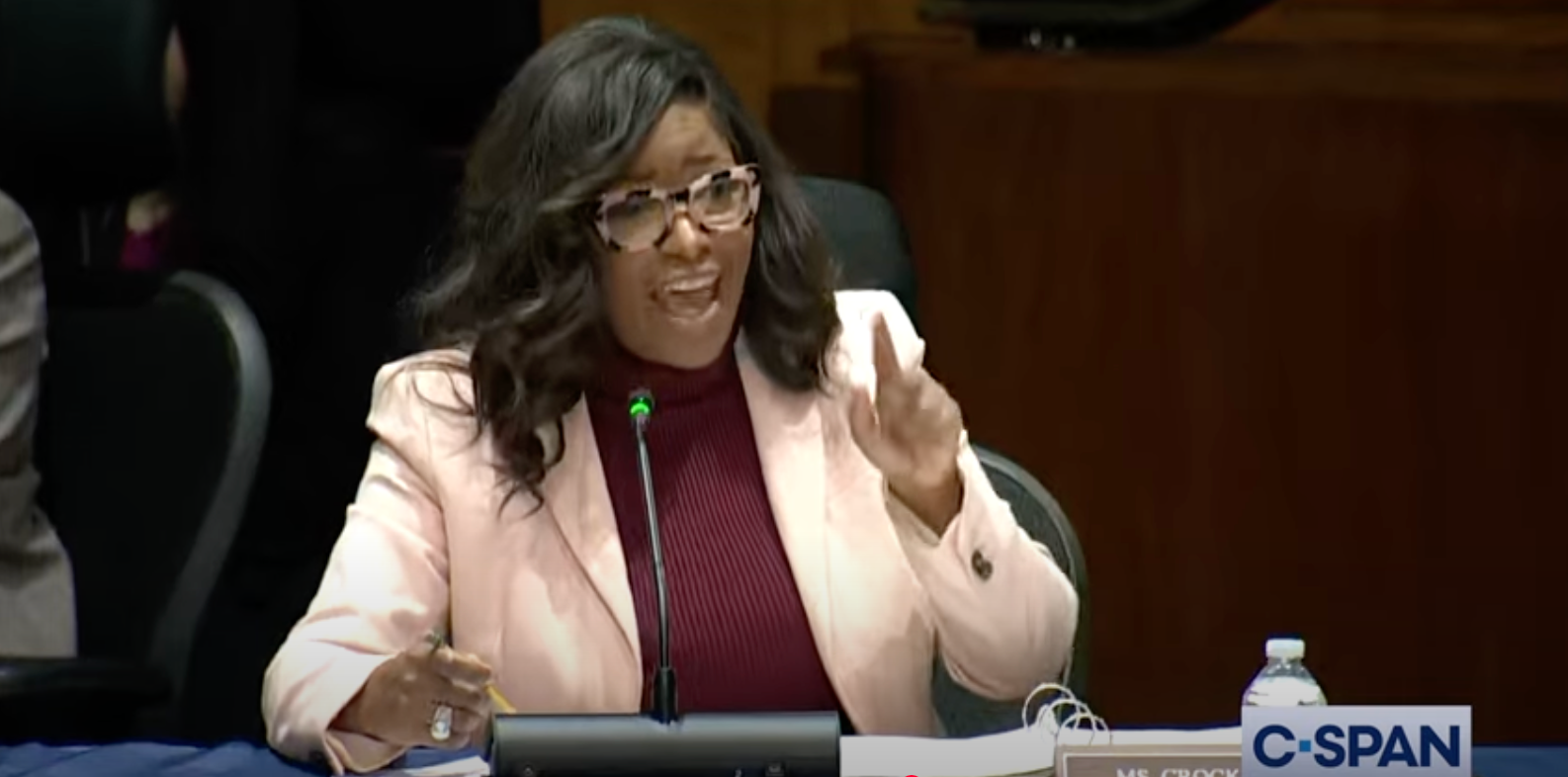 A person speaks passionately at a conference table, gesturing with a raised finger, during a C-SPAN broadcast. They wear glasses and formal attire
