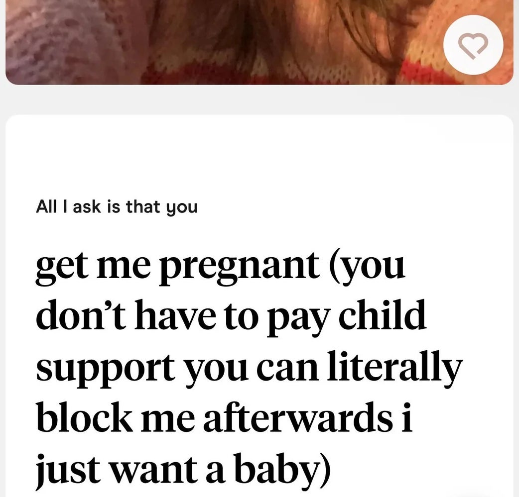 Screenshot of text: "All I ask is that you get me pregnant (you don’t have to pay child support, you can literally block me afterwards, I just want a baby)."