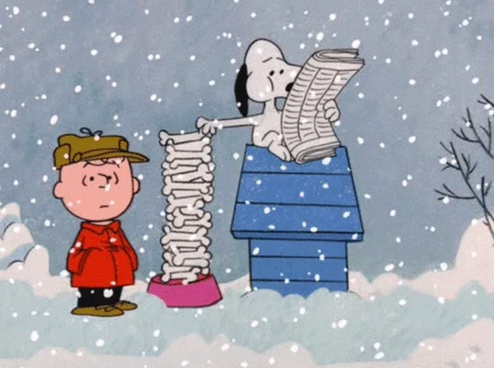 Snoopy sits on his doghouse reading a newspaper while Charlie Brown watches, with snow falling around them
